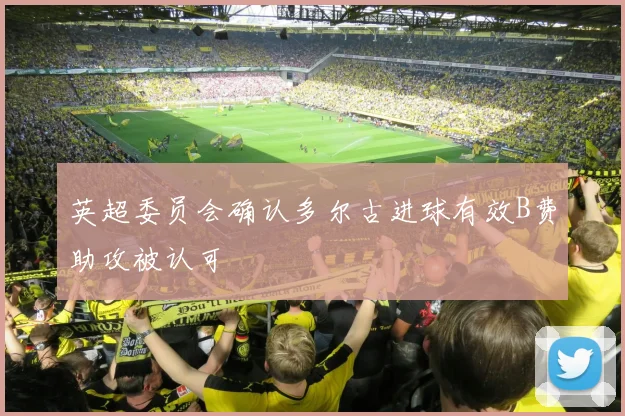 英超委员会确认多尔古进球有效B费助攻被认可