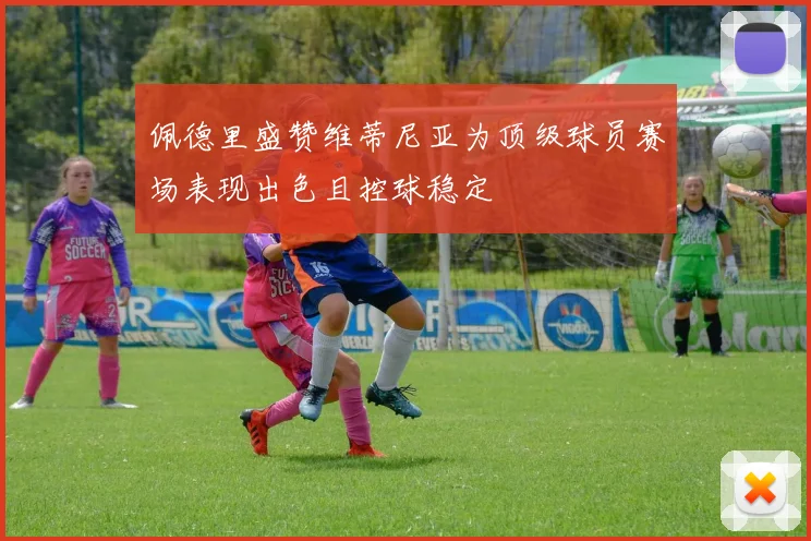 佩德里盛赞维蒂尼亚为顶级球员赛场表现出色且控球稳定