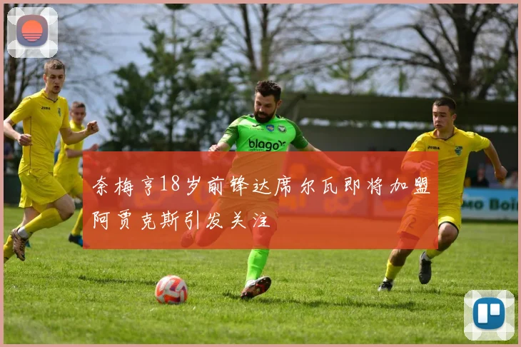 奈梅亨18岁前锋达席尔瓦即将加盟阿贾克斯引发关注